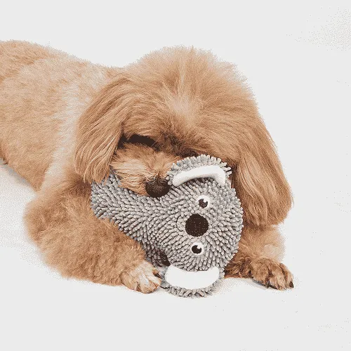Barkbutler x Fofos Tough Koala Chew Toy for Dogs