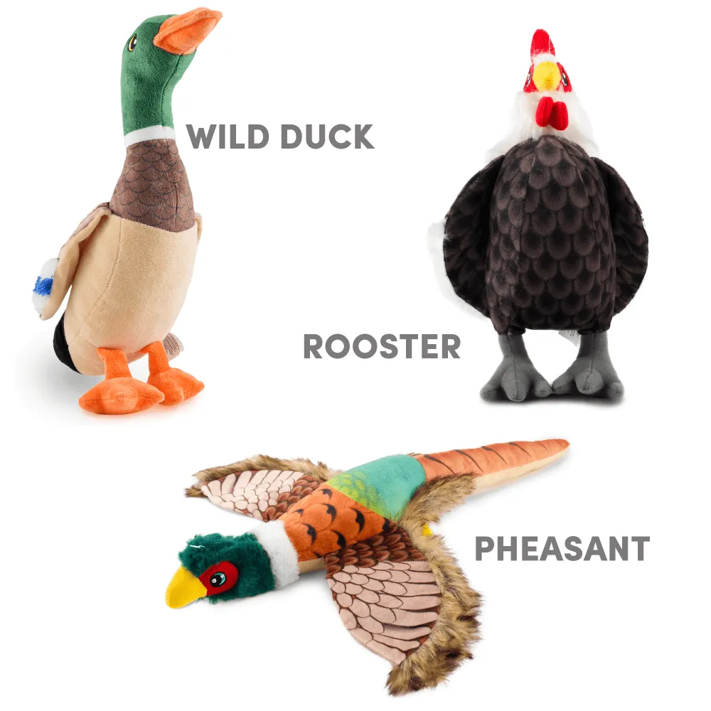 Barkbutler x Fofos Wild Duck Squeaky Plush Toy for Dogs