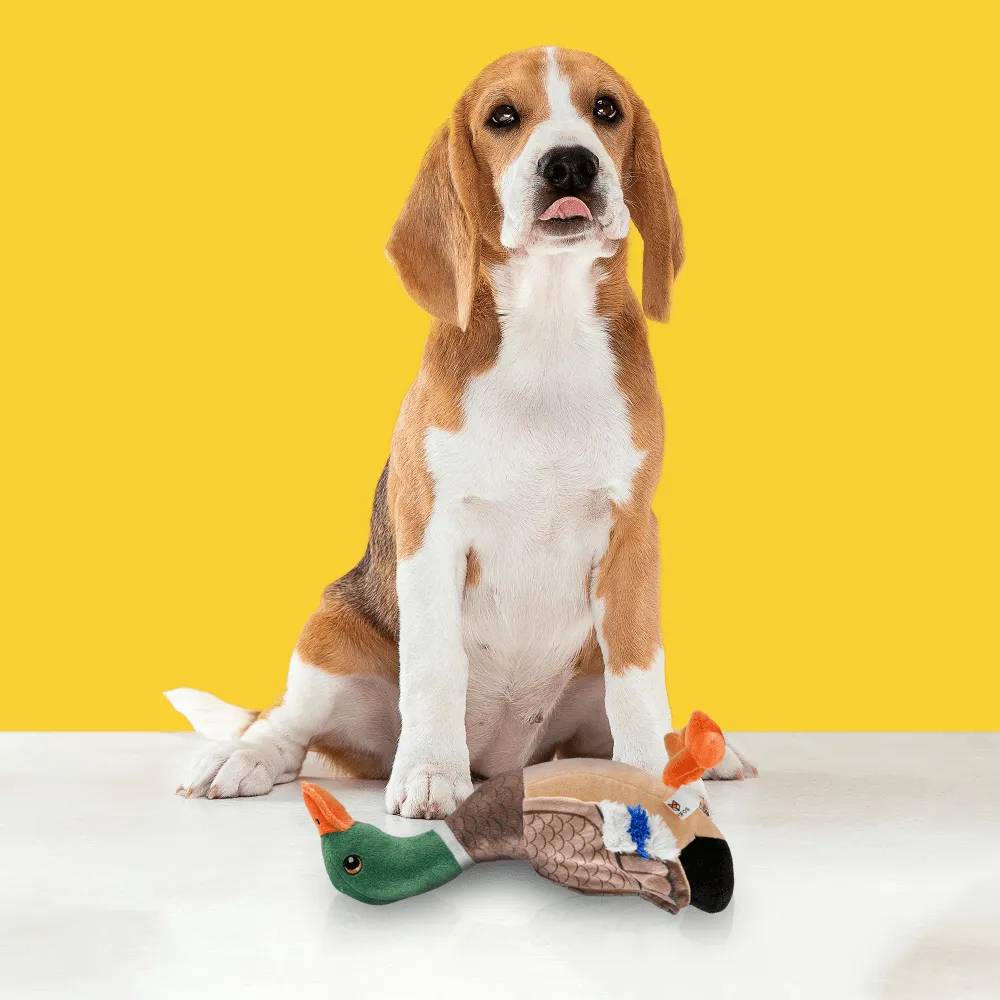 Barkbutler x Fofos Wild Duck Squeaky Plush Toy for Dogs