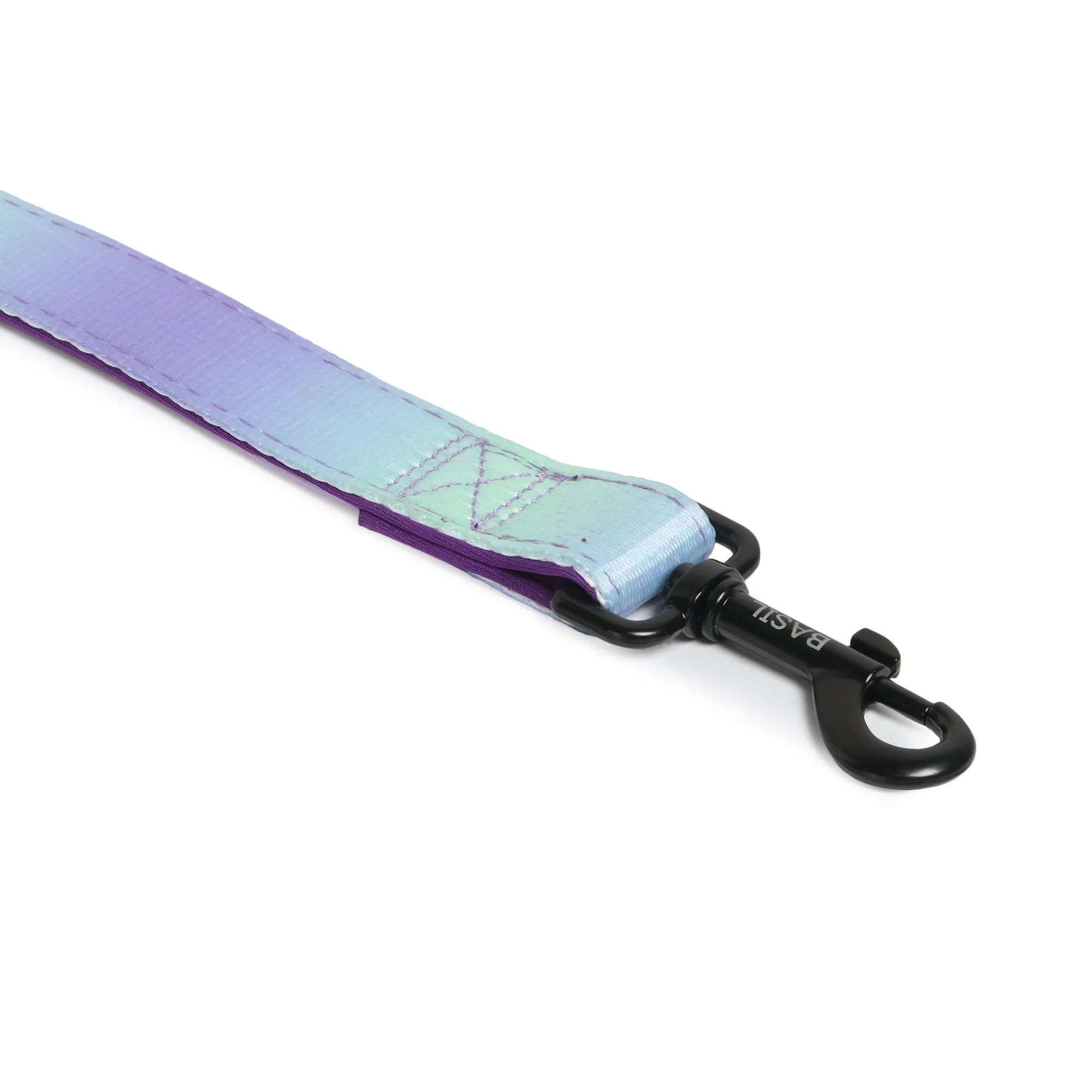 Basil Padded Leash for Dogs (Purple/Blue)