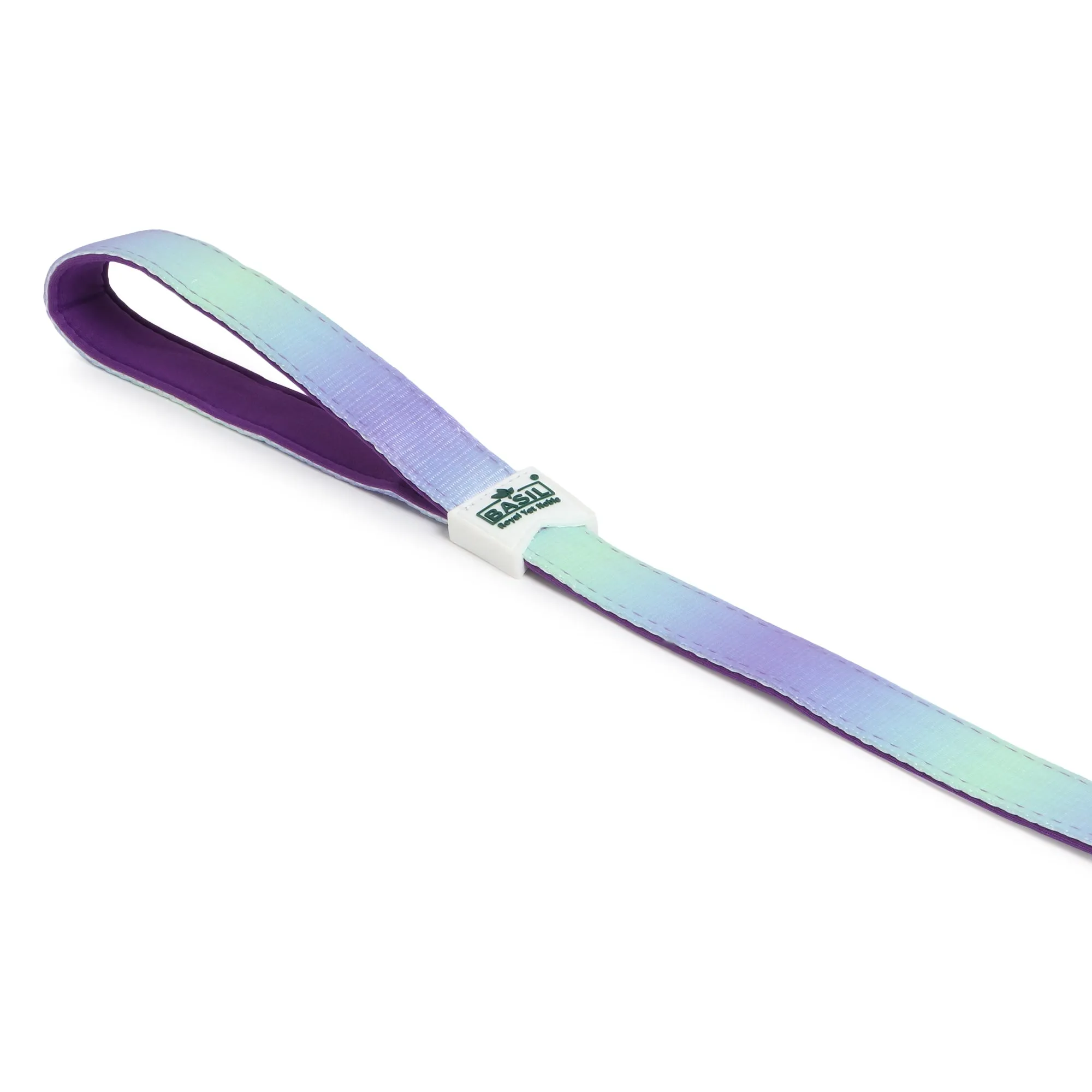 Basil Padded Leash for Dogs (Purple/Blue)