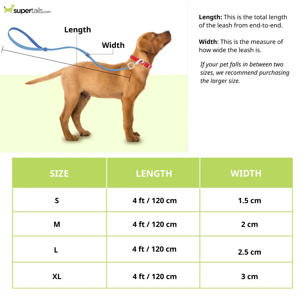 Basil Padded Leash for Dogs (Purple/Blue)