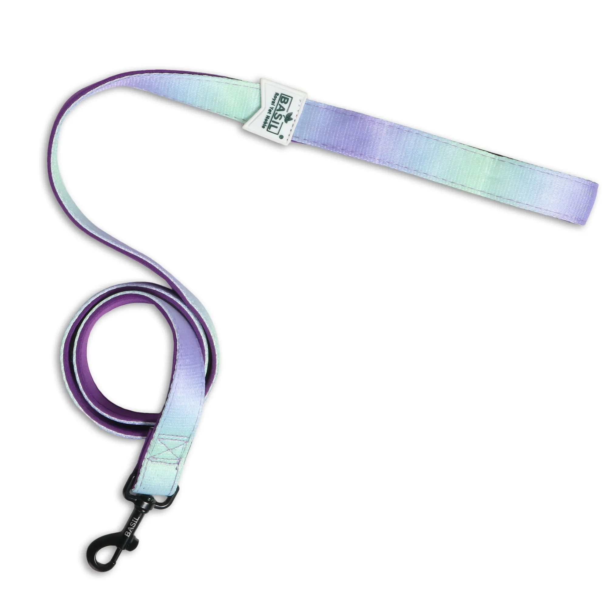 Basil Padded Leash for Dogs (Purple/Blue)