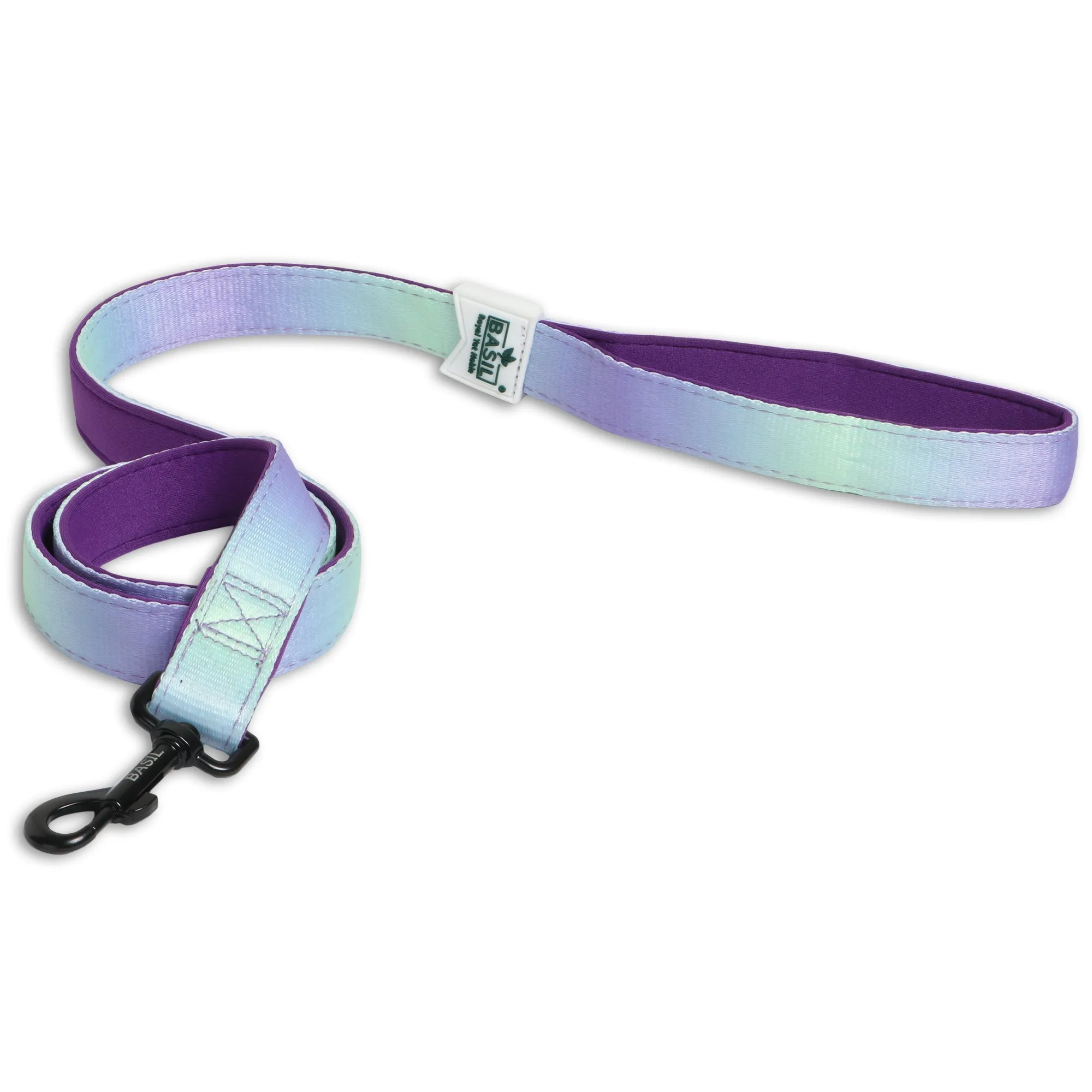 Basil Padded Leash for Dogs (Purple/Blue)