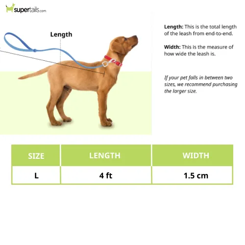 Basil Rope Leash for Dogs (Yellow & Pink)