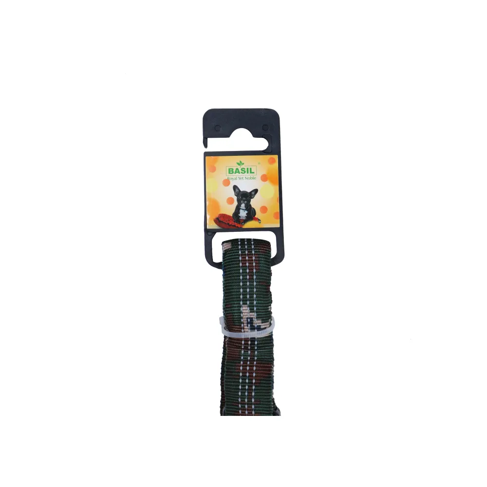 Basil Shock Absorbing Stretch Leash for Dogs (Green)