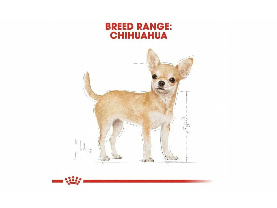 Breed Health Nutrition Chihuahua Adult (WET FOOD - Pouches) 12X 85G Pets Qatar