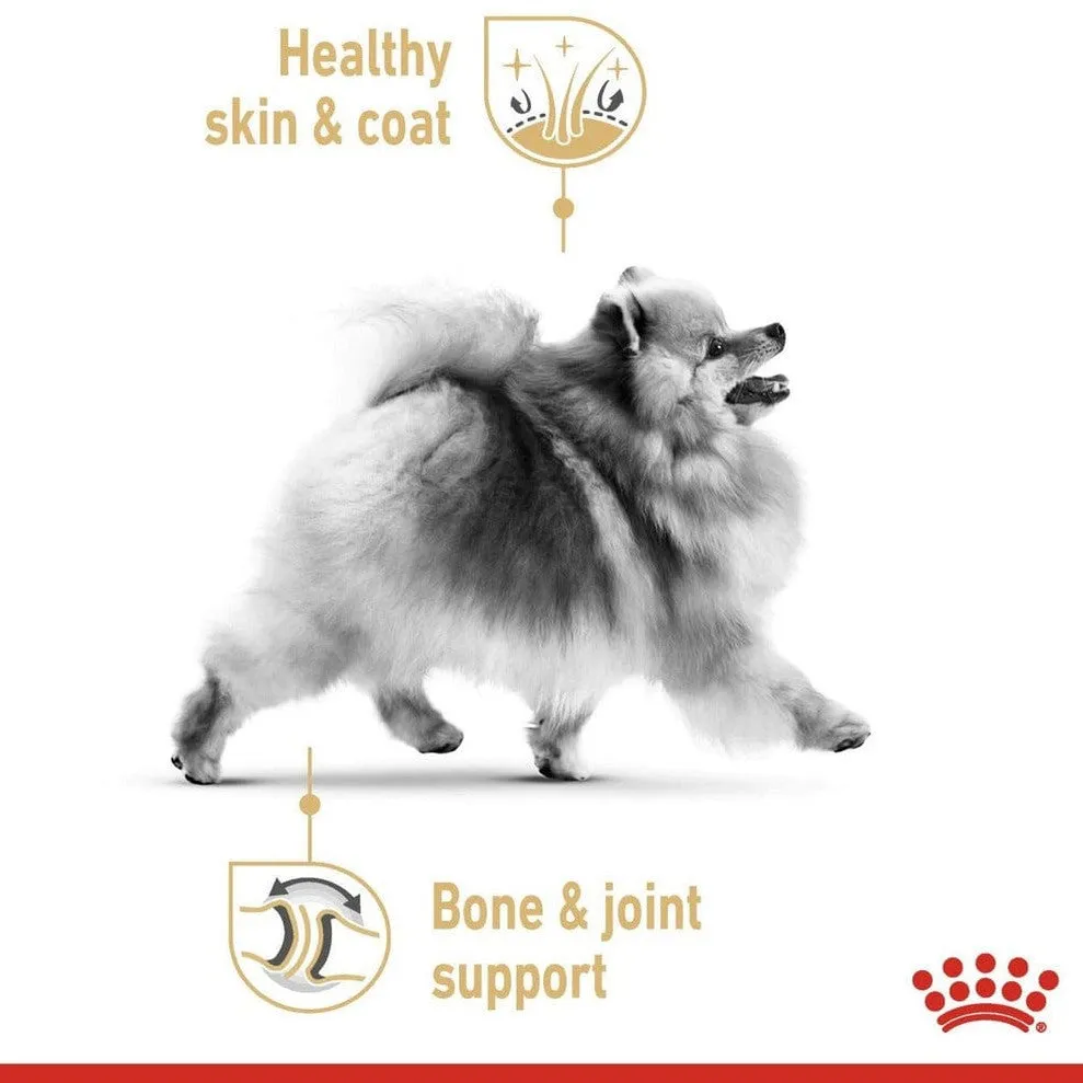 Breed Health Nutrition Pomeranian (12X85G Wet Food - Pouches) Pets Qatar