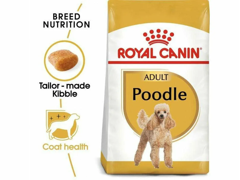 Breed Health Nutrition Poodle Adult 1.5 KG Pets Qatar