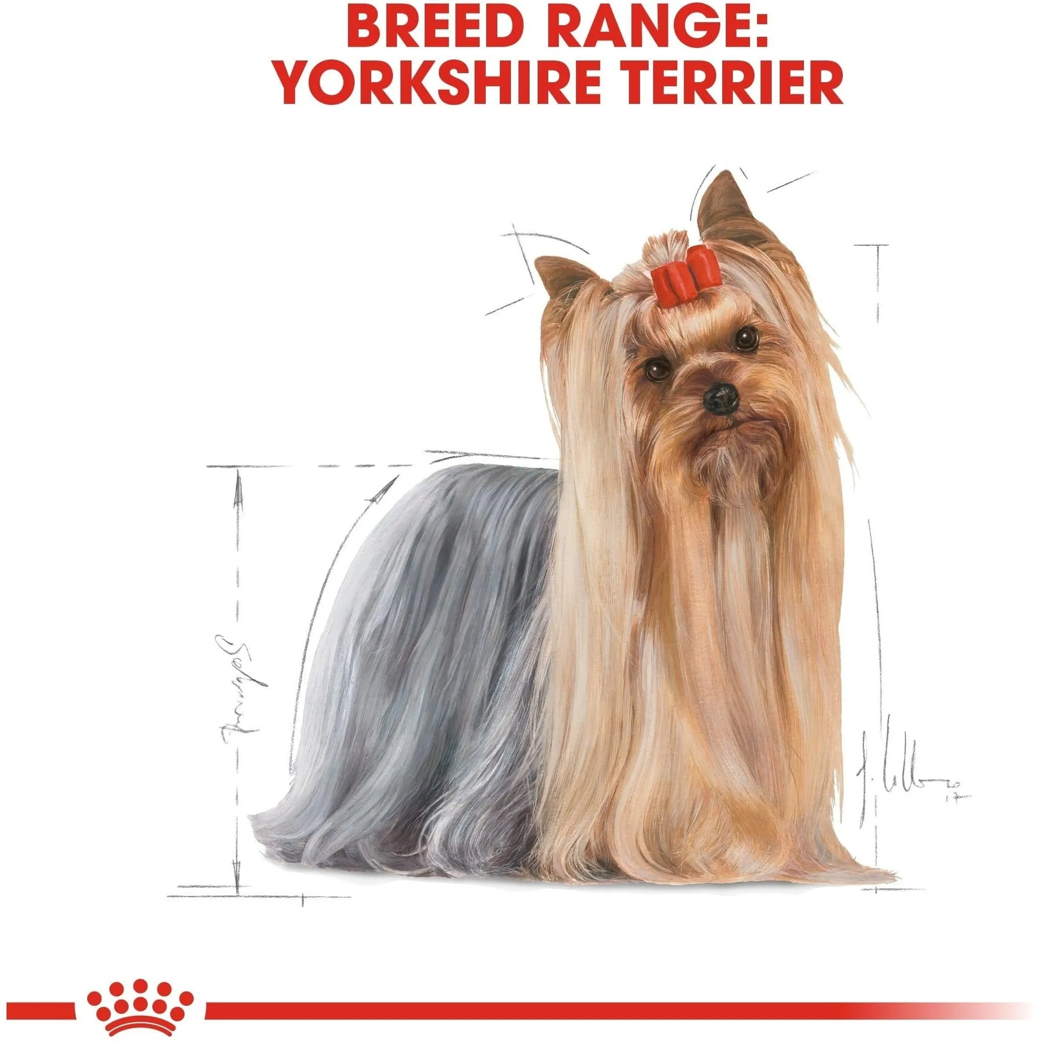 Breed Health Nutrition Yorkshire Adult (Wet Food - Pouches 85Gx12 Pets Qatar