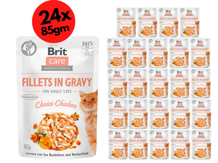 Brit Care Cat Fillets in Gravy Choice Chicken 24x85g Pets Qatar
