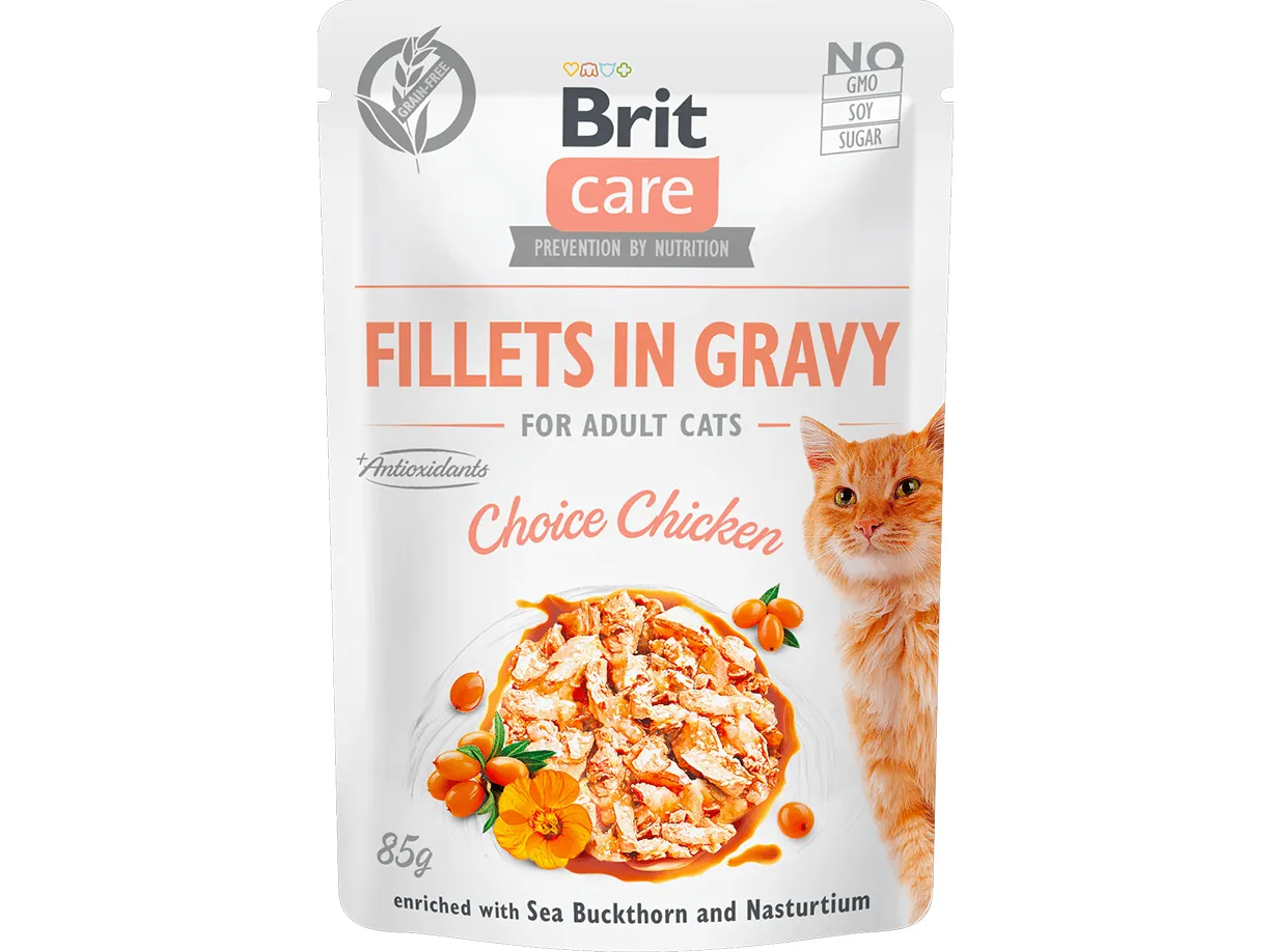 Brit Care Cat Fillets in Gravy Choice Chicken 24x85g Pets Qatar