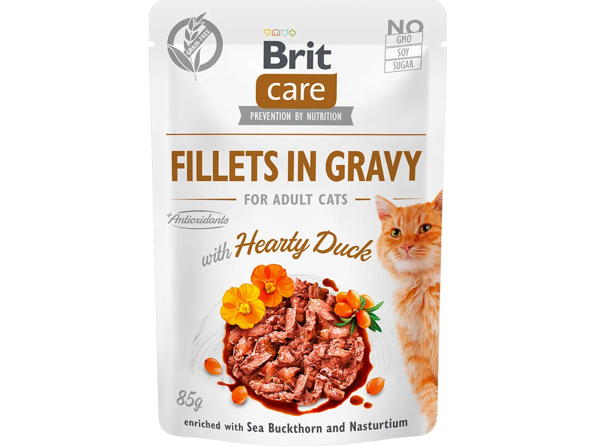 Brit Care Cat Fillets in Gravy with Hearty Duck 24x85g Pets Qatar