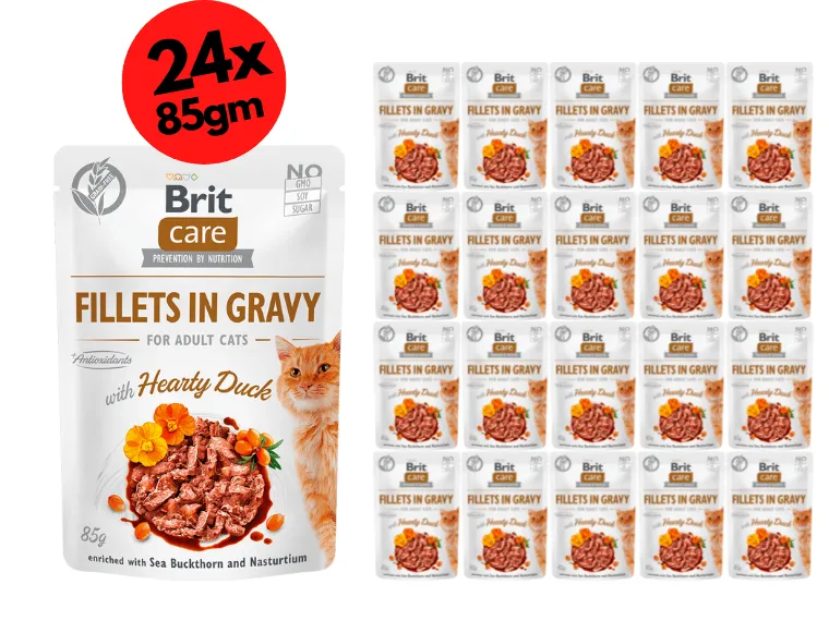 Brit Care Cat Fillets in Gravy with Hearty Duck 24x85g Pets Qatar