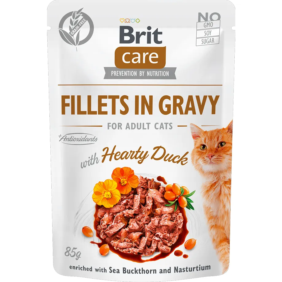 Brit Care Cat Fillets in Gravy with Hearty Duck  85 g Pets Qatar
