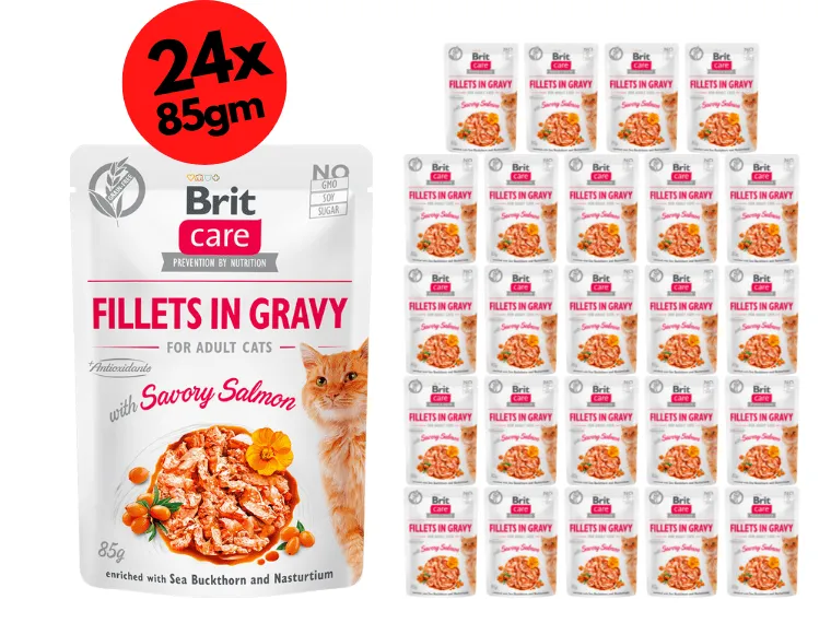 Brit Care Cat Fillets in Gravy with Savory Salmon 24x85g Pets Qatar