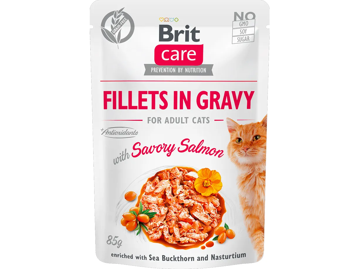 Brit Care Cat Fillets in Gravy with Savory Salmon  85 g Pets Qatar