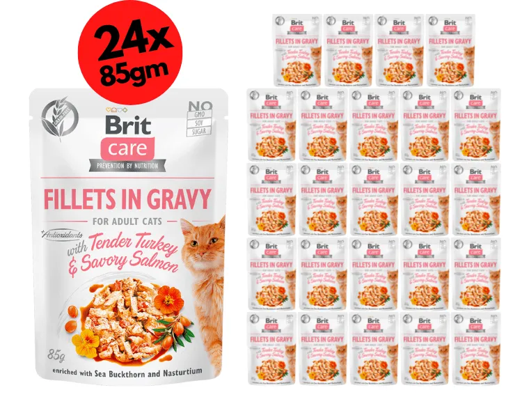 Brit Care Cat Fillets in Gravy with Tender Turkey & Savory Salmon 24x85g Pets Qatar