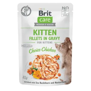 Brit Care Cat Kitten. Fillets in Gravy Choice Chicken 85 g Pets Qatar