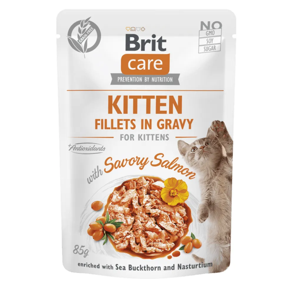Brit Care Cat Kitten. Fillets in Gravy with Savory Salmon 85 g Pets Qatar