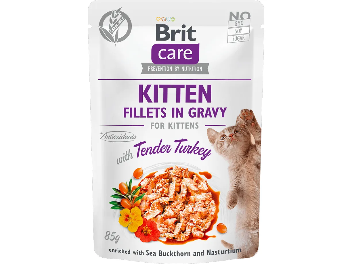 Brit Care Cat Kitten. Fillets in Gravy with Tender Turkey 85 g Pets Qatar