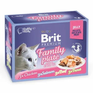 Brit Premium Cat Delicate Fillets in Jelly Family Plate 1020 g (12x85 g) Pets Qatar