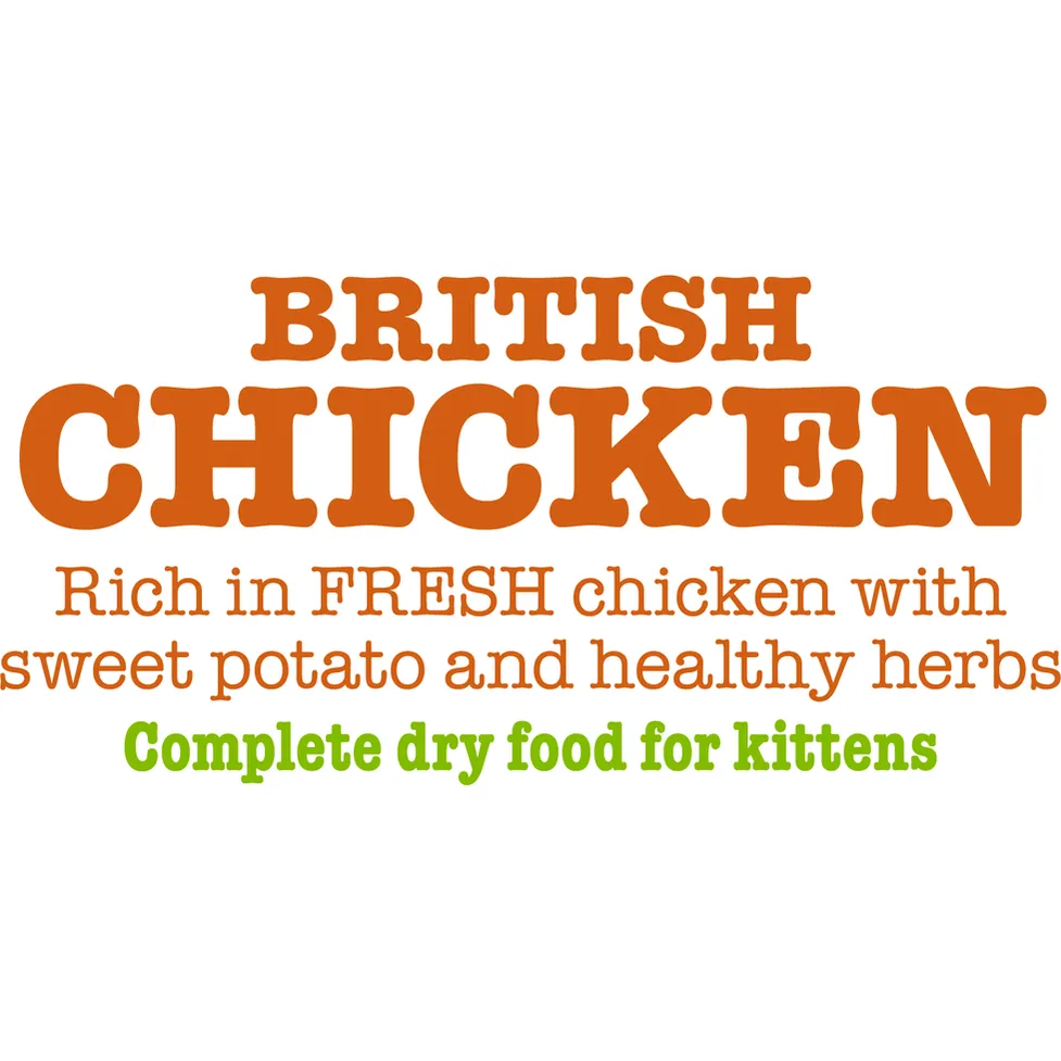 British Chicken Complete dry food for Kittens 1.5KG /Little BigPaw Pets Qatar