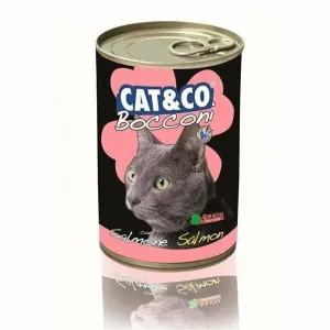 Cat & Co. WET Salmon 405g Pets Qatar