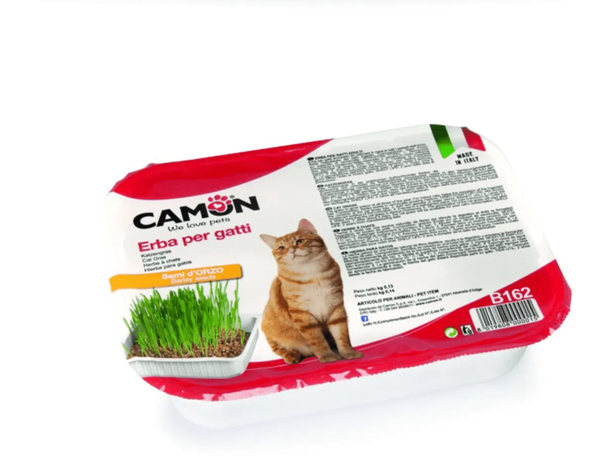 Cat Grass - Barley Pets Qatar