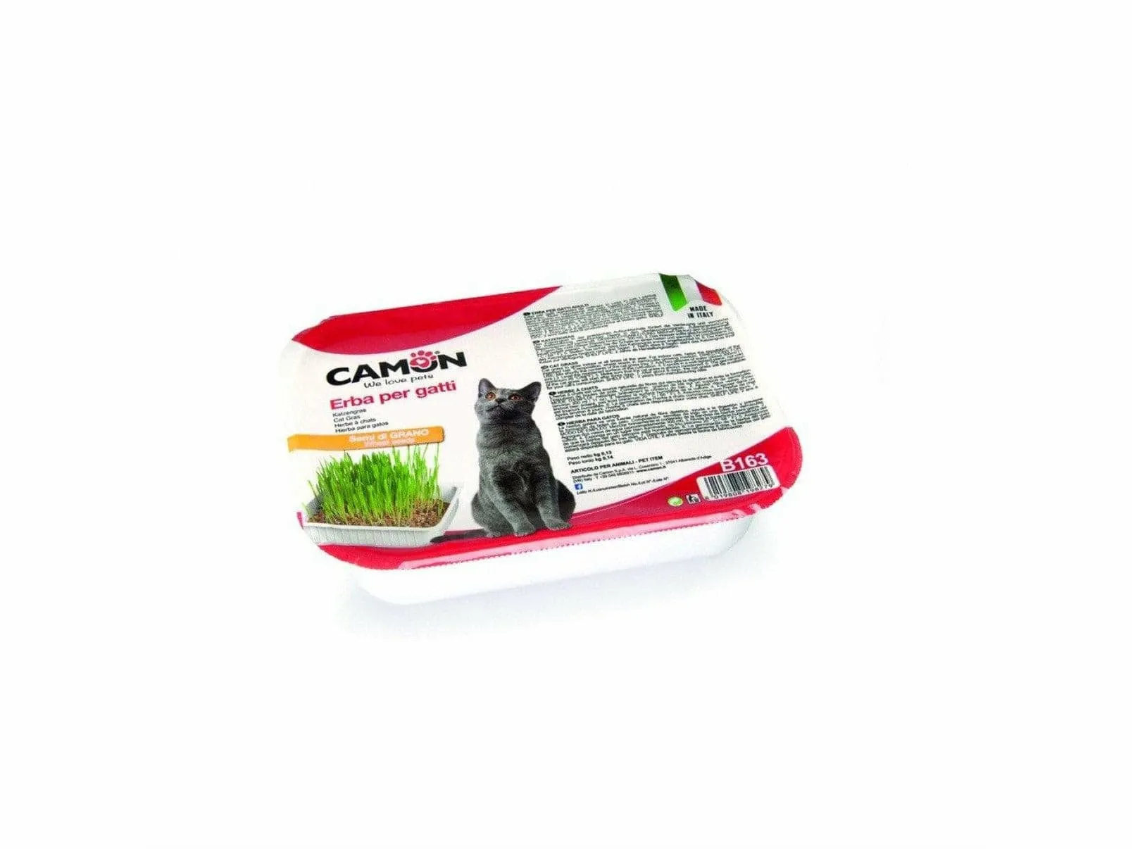 Cat Grass  - Wheat Pets Qatar