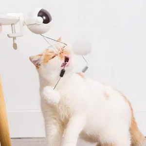 Cat Intelligent Toy Pets Qatar