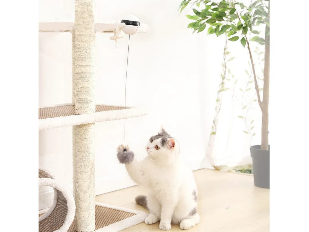 Cat Intelligent Toys / Electric Elf Cat Ball Pets Qatar