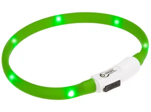 Cat Night Led Collar Pets Qatar