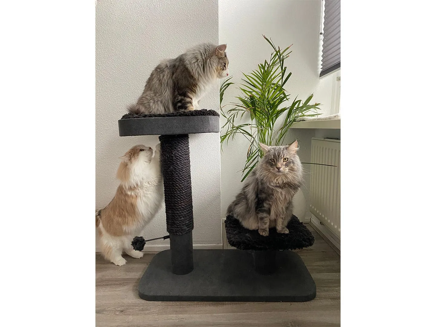 Cat Scratching Tree Sendai 78X40X75Cm Pets Qatar