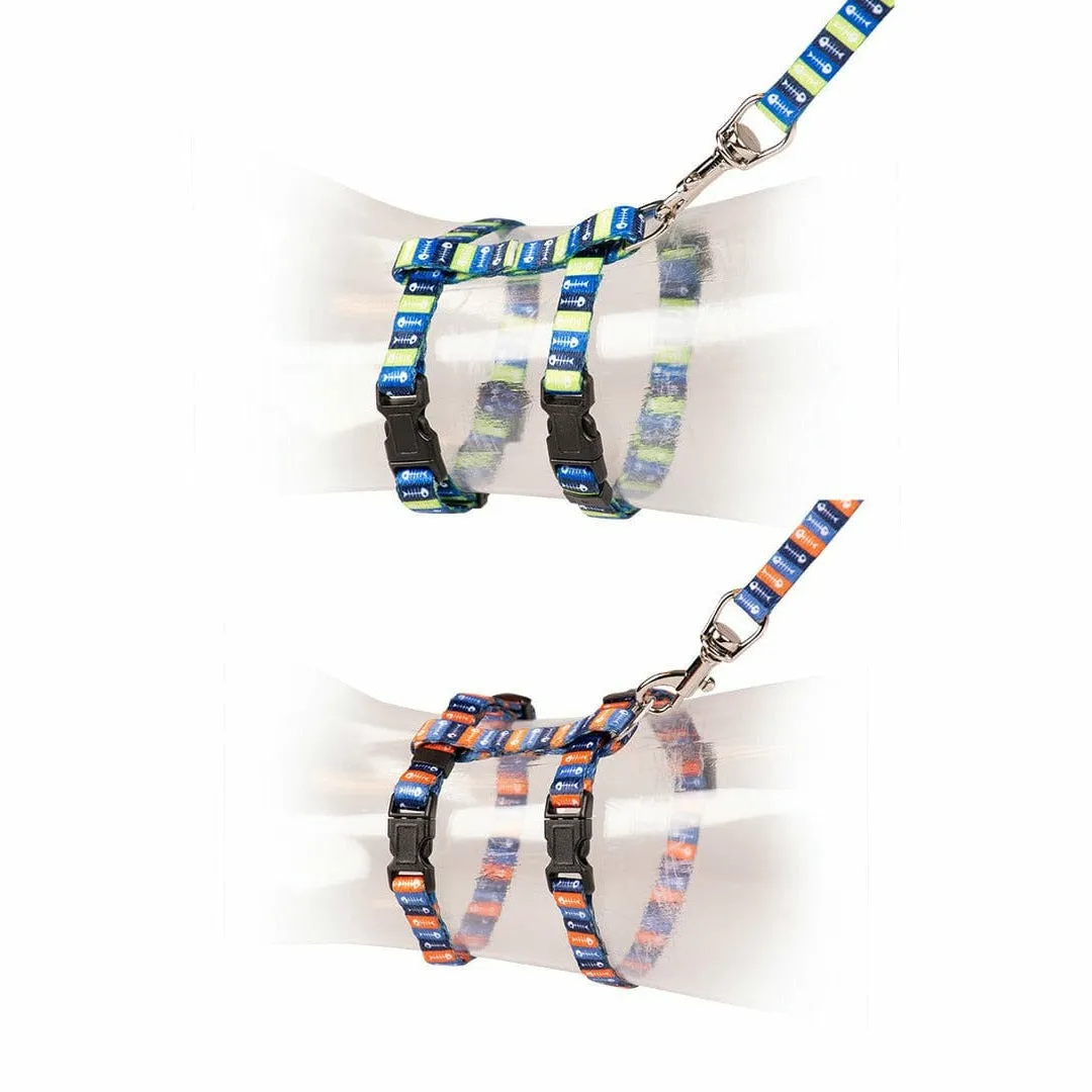 CAT WALKING SET FISH BONES 20-35cm / 10mm - 125cm mixed colors Pets Qatar