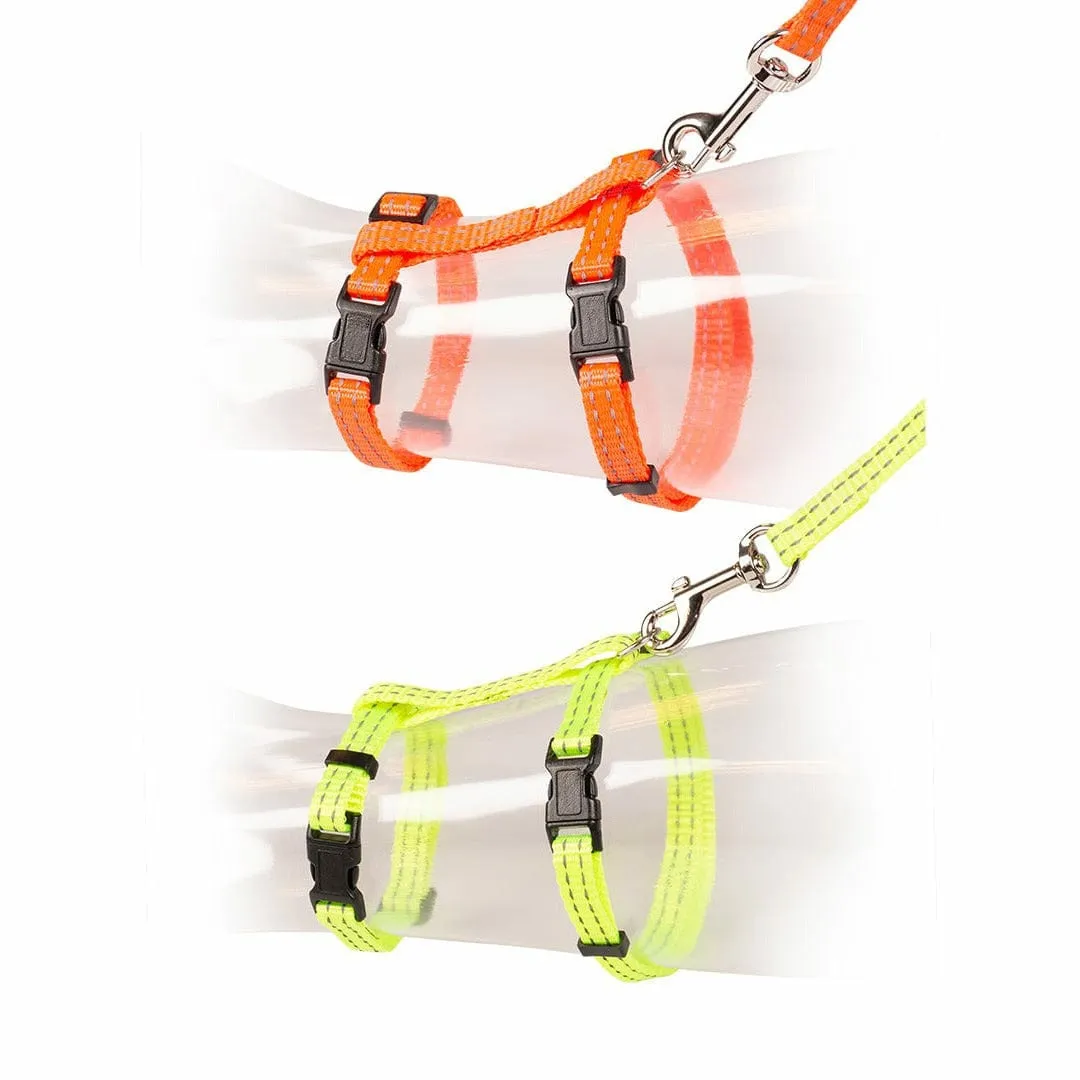 CAT WALKING SET REFLECTIVE UNI 20-35cm / 10mm - 125cm Pets Qatar