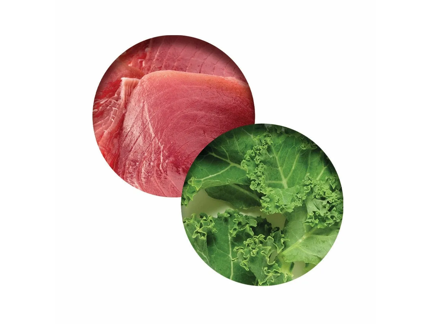 Catit Chicken Dinner, Tuna & Kale 80 g, 6pcs/box Pets Qatar