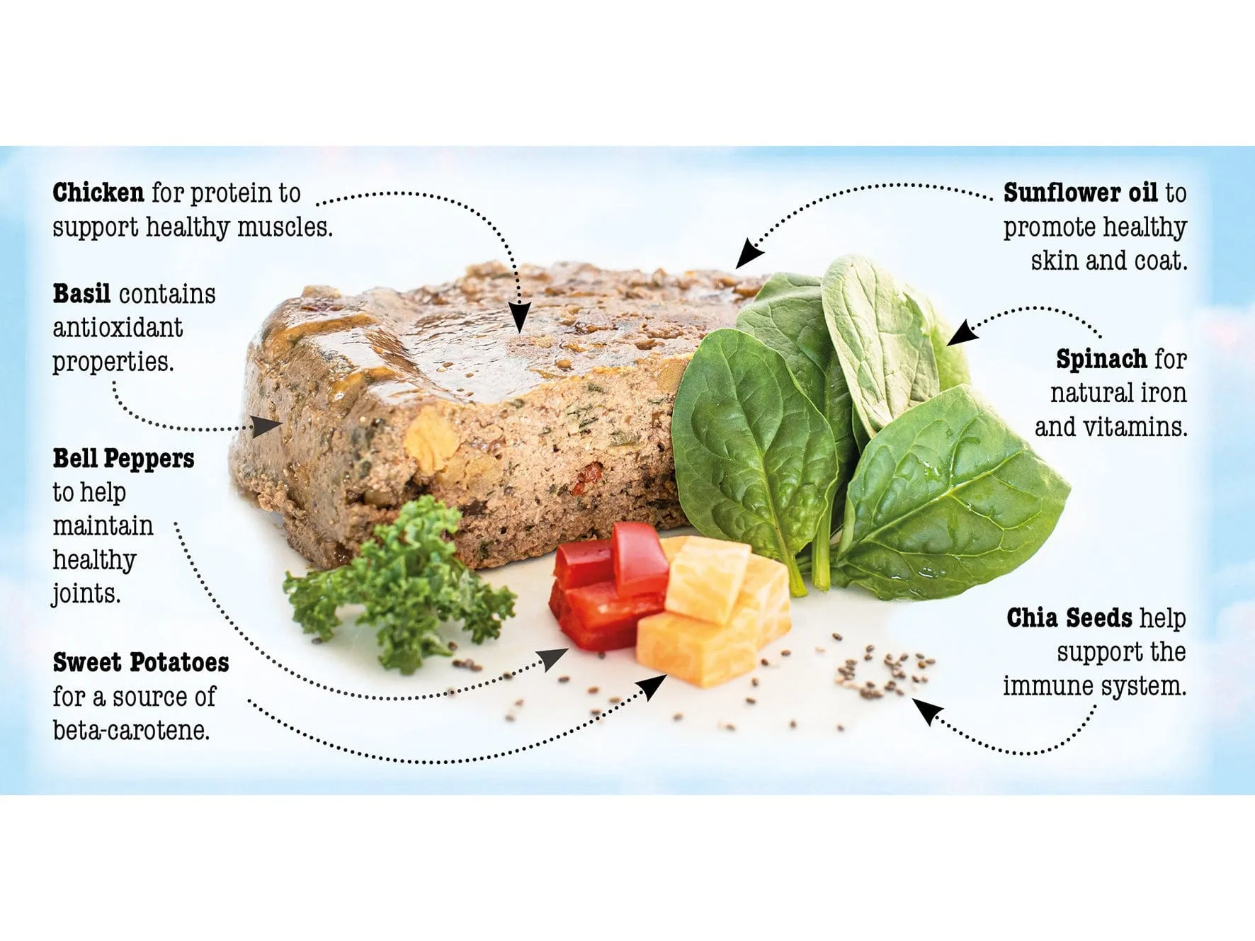 Chicken with Spinach,Sweet Potato and Peppers 390g /Little BigPaw Pets Qatar