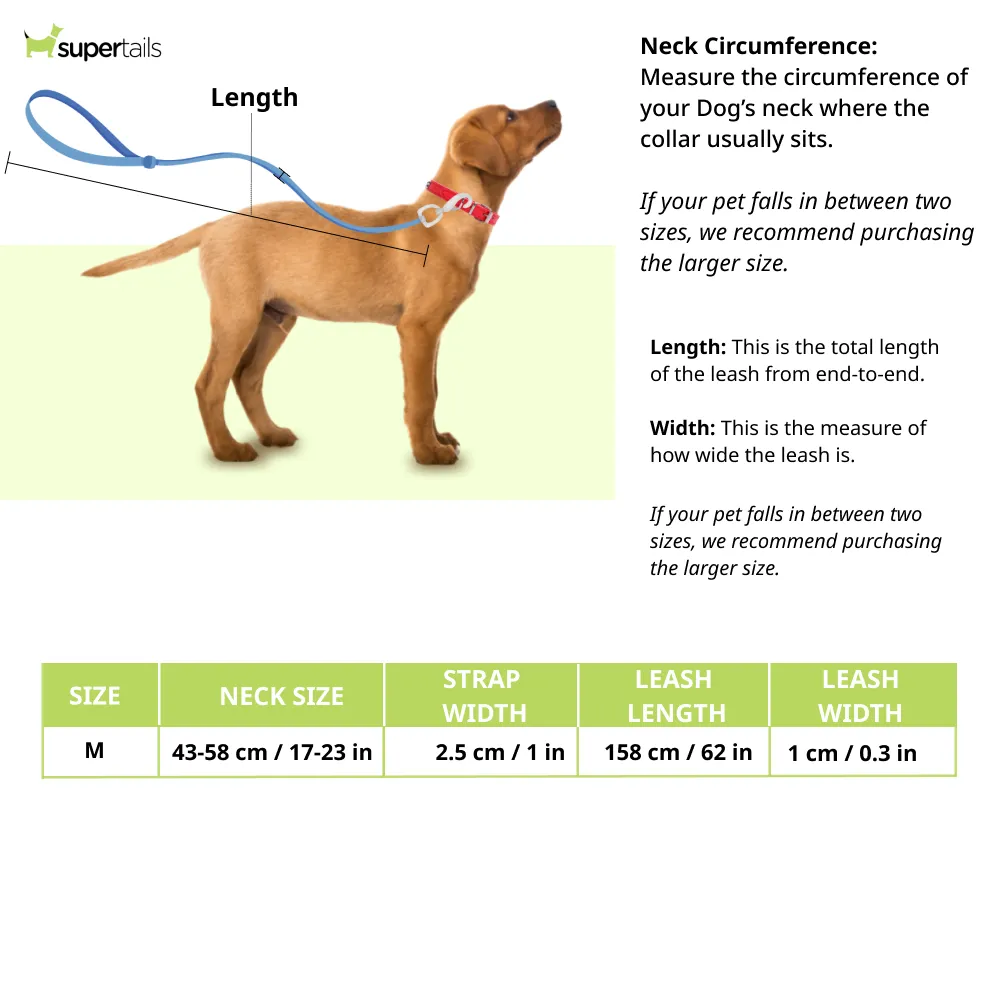 Chullbull Nylon Choke Collar and Leash for Dogs (Black)