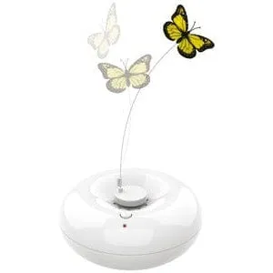 CRAZY Butterfly White Pets Qatar