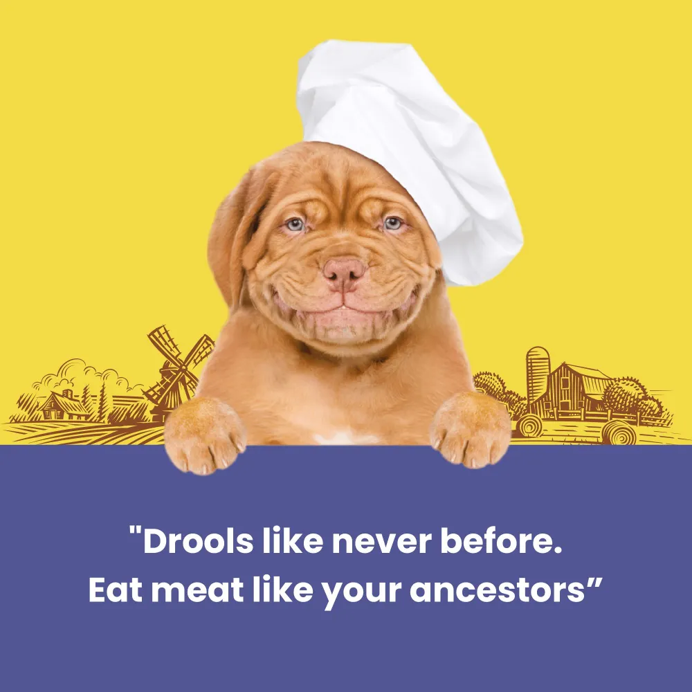 Dogfest Duck Meat Sticks Dog Treats