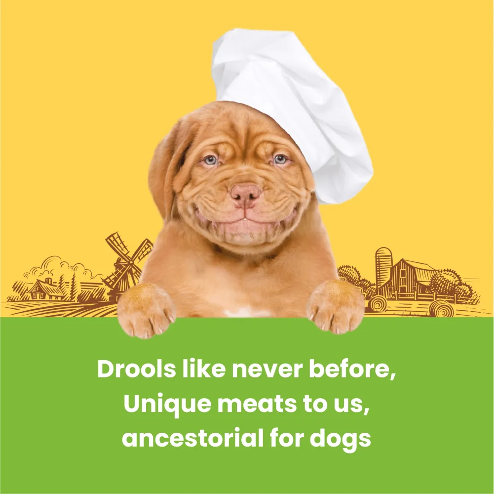 Dogfest Turkey & Flax Seeds Training Dog Treats