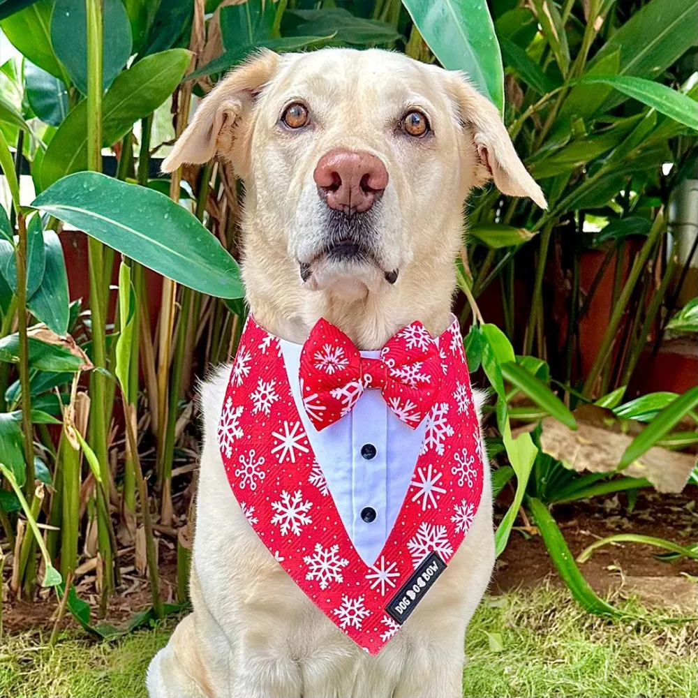 Dogobow Aztec Print Tuxedo Bandana for Dogs (Red)