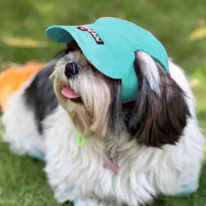 Dogobow Baseball Cap for Dogs and Cats (Teal Blue) (Get a Bow Free)