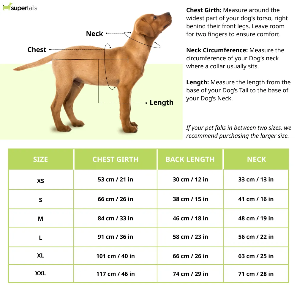 Dogobow Denim Jacket for Dogs and Cats (Orange) (Get a Bow Free)