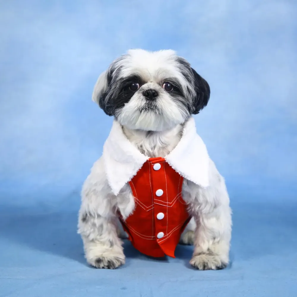 Dogobow Denim Jacket for Dogs and Cats (Red) (Get a Bow Free)