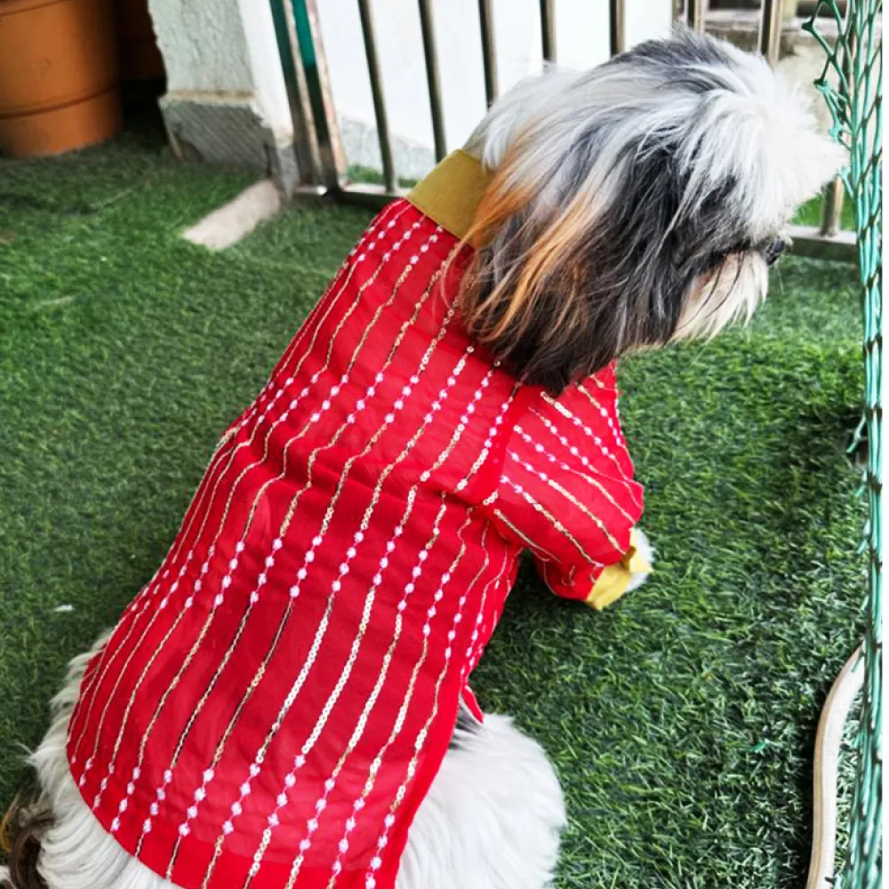 Dogobow Georgette Embroidered Kurta for Dogs and Cats (Red)