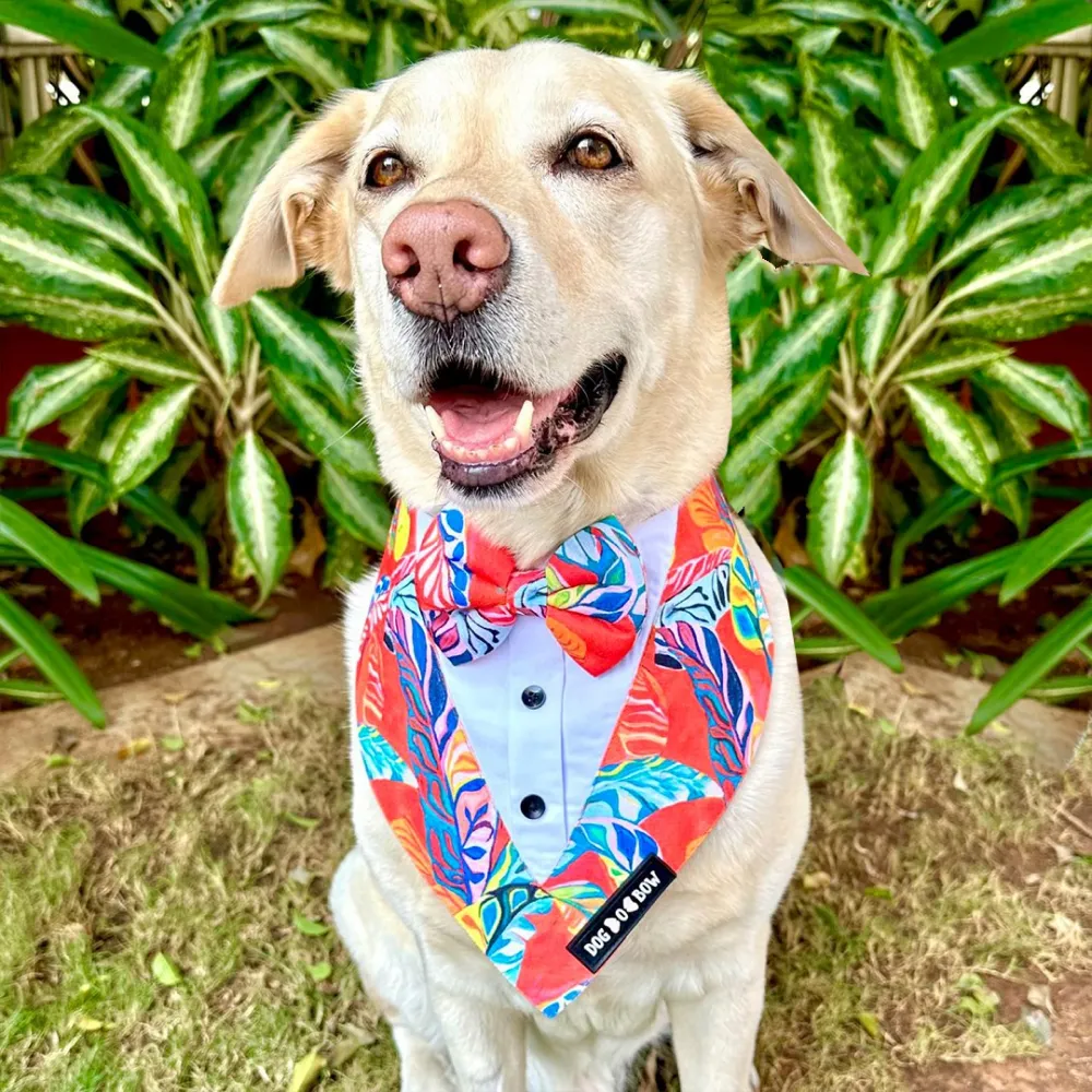 Dogobow Hawaii Print Tuxedo Bandana for Dogs (Red)