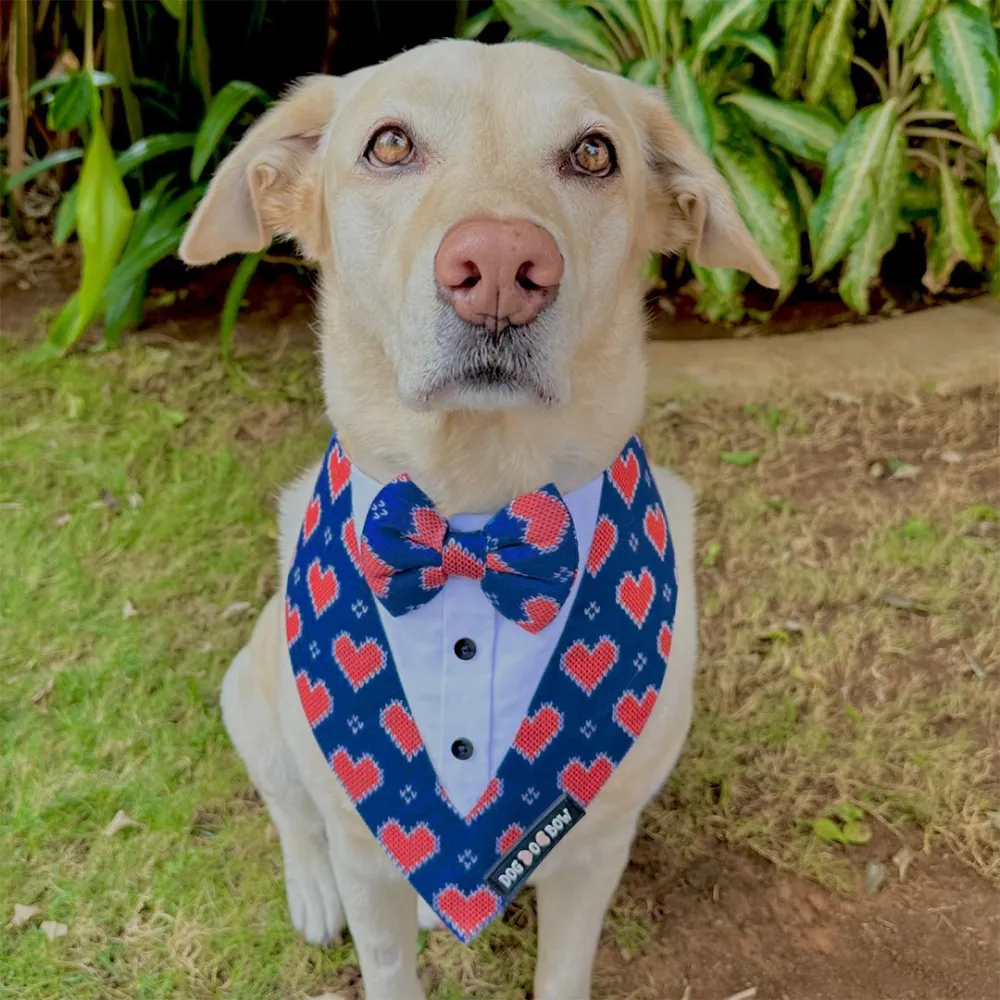 Dogobow Hearty Print Tuxedo Bandana for Dogs (Blue/Red)
