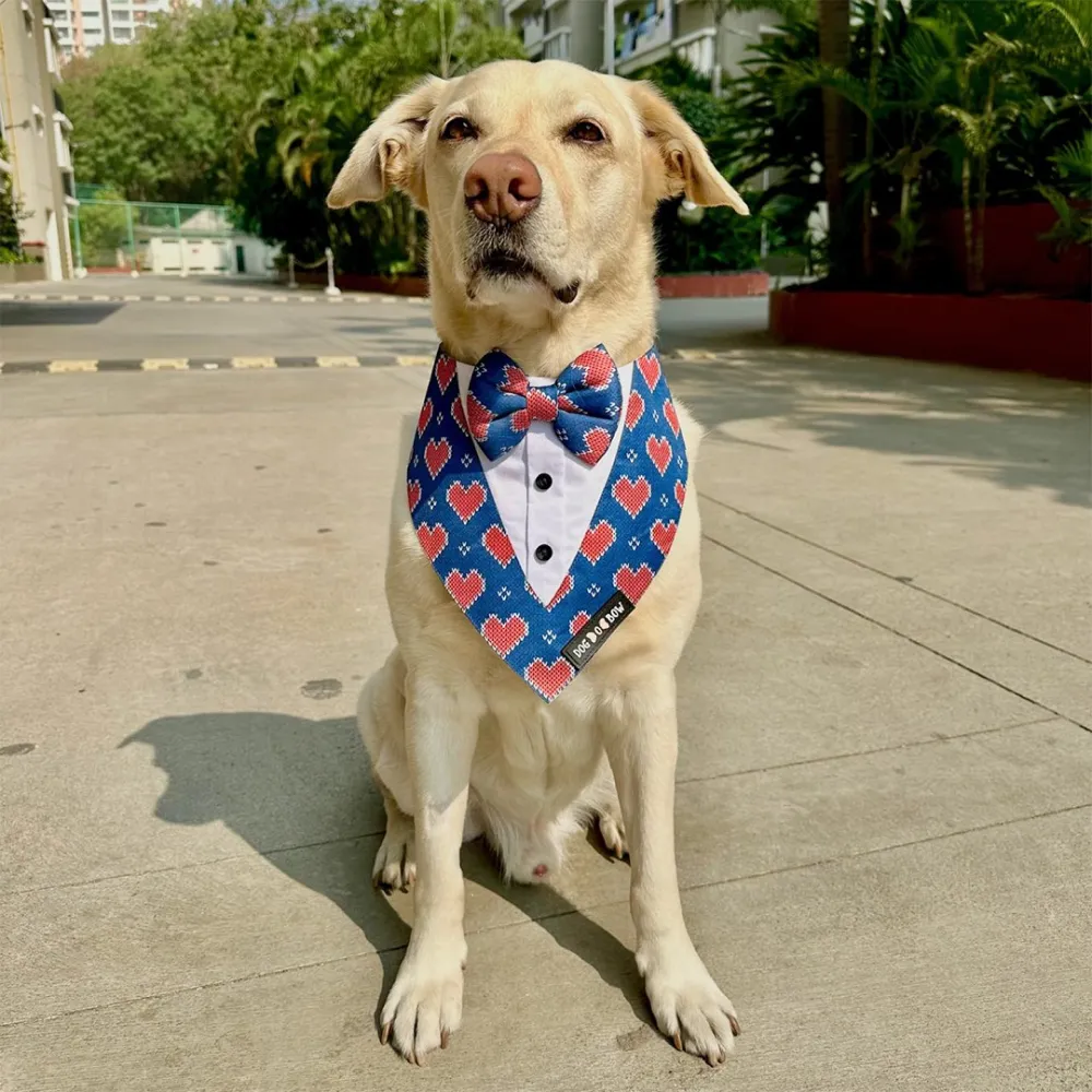 Dogobow Hearty Print Tuxedo Bandana for Dogs (Blue/Red)